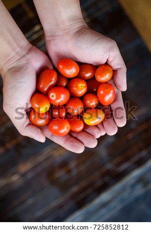 Close focus of hand holding sweet million tomato with copy space for text or advertising