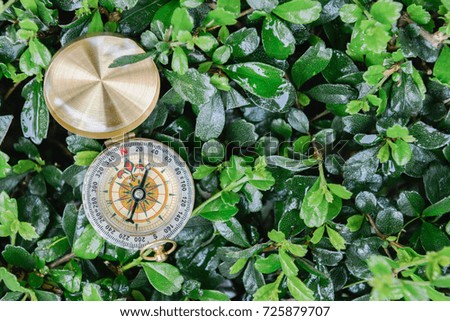 Compass on the nature background