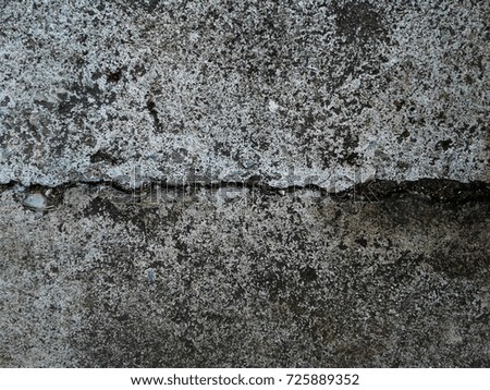 gray cement background texture. photo