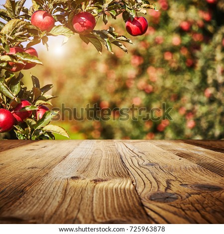 table space and apple garden of trees and fruits 