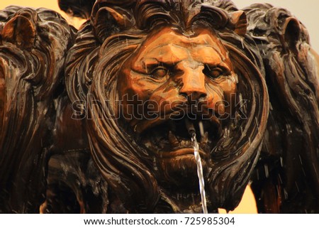 shape decorative head of a lion from the mouth of which the water flows