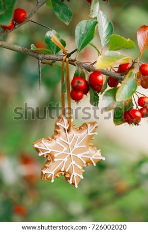 ginger snowflake cookie hanging on a tree with red berries,  shallow dof
