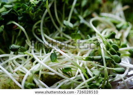 Beautiful natural  background. Fresh bean sprouts 