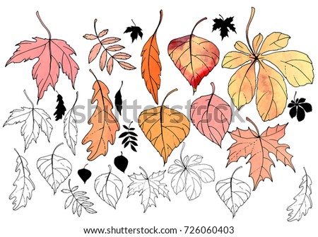 Set with autumn leaves. Watercolor effect, vector. White background.