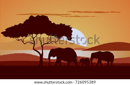 Sunset in the savanna a vector illustration.