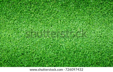 Green grass background Golf Courses green lawn pattern textured background.