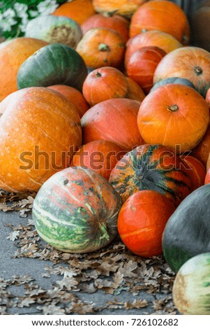 pile of various pumpkins