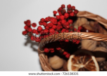 Dry red rowan berry in a basket with dry decors