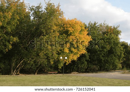 Landscape, lantern,tree, bench
