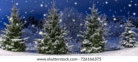 Winter night panoramic landscape. Christmas trees covered with snow. Fairy-tale snow and festive mood. Panorama
