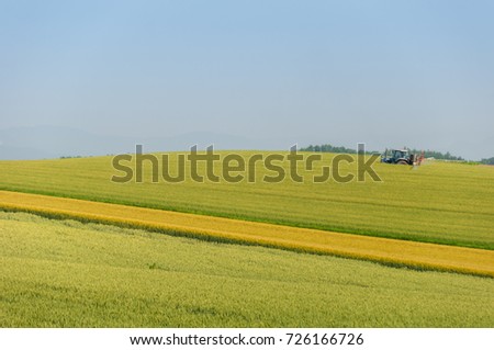 field of green plant and blue sky