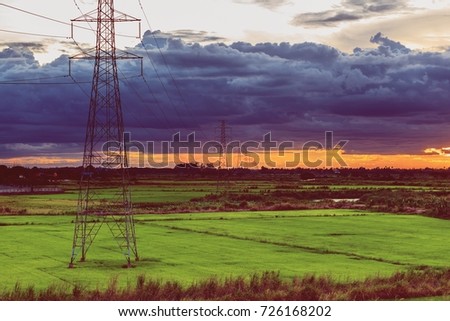 Landscape of green paddy rice farm during storm cloud sunset