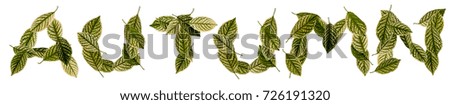 Word Autumn monogram made of green aged fall leaves with streaks isolated on white background