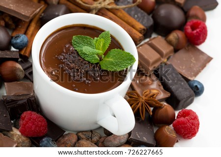 hot chocolate with mint and ingredients, closeup
