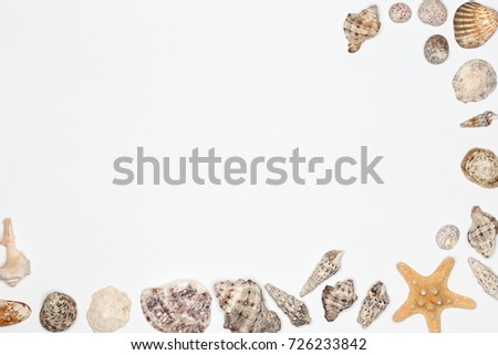 frame with different sea shells in wave form