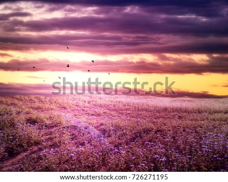 Romantic purple colored landscape of meadow in sunset