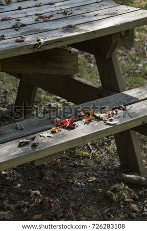 Autumn Leaves On Picnic Table