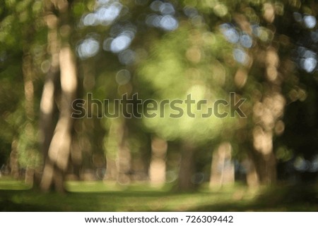 city park alley bokeh background. Abstract blurred Image of green nature for background usage.