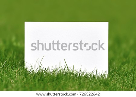Blank paper shot outdoor over green grass
