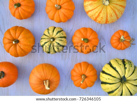 Various pumpkins and squashes on wooden background