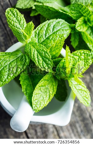 branch mint leaves in mortar. Royalty-Free Stock Photo #726354856