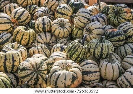 Lots of Sweet Dumpling Squashes. The picture was made on a farmers' market in Beelitz, Germany
