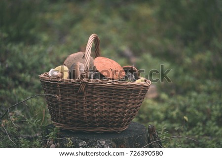 beautiful wooden woven basket in front of forest heather with mushrooms and blur background and copy space in autumn - vintage film look