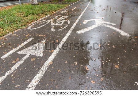 Bicycle path. Bicycle symbol on the street. among the autumn leaves