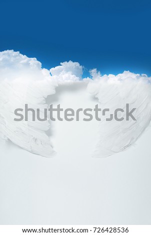 Angel wings in the sky. Angels feather wing on sky blue background