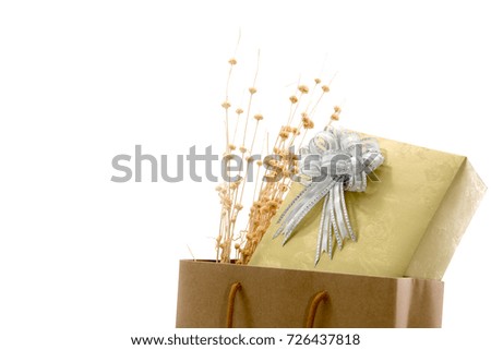 Gift box in paper bag, Isolated on white background