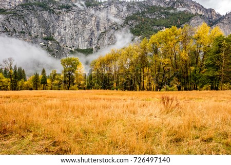 Meadow in Yosemite National Park Valley at cloudy autumn morning. Low clouds lay in the valley. California, USA.
