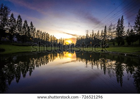 Beautiful landscape  sunset with pine tree reflected on water
