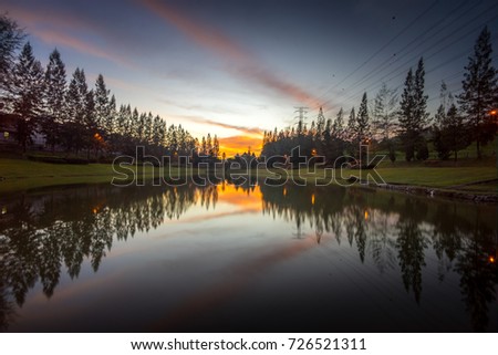 Beautiful landscape  sunset with pine tree reflected on water