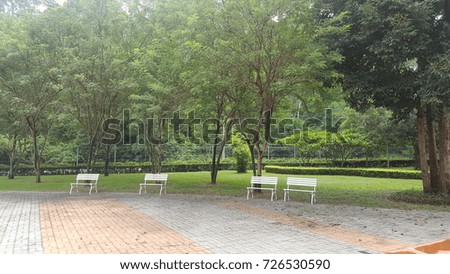 White benches in a garden