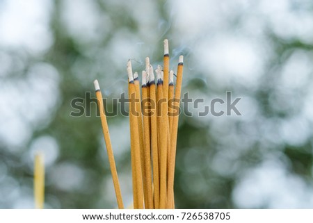 Incense burning in garden with blur background. Close focus of incense with copy space for text or advertising