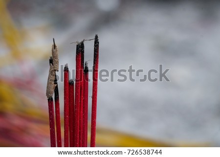 Incense burning in garden with blur background. Close focus of incense with copy space for text or advertising