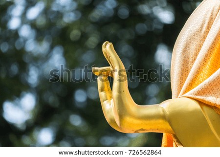 the hand of buddha image with blurred image of the tree with beautiful bokeh as background