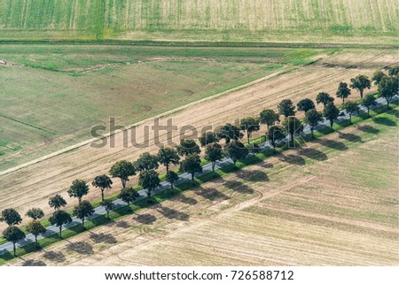 Aerial view of a road lined with trees near Poisvilliers in the department of Eure-et-Loir in France