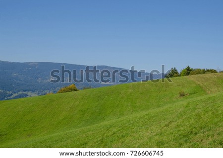 mountain lawn