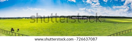 Panorama view of Racehorse grazing on the ranch in Tomakomai City, Hokkaido, Japan Royalty-Free Stock Photo #726637087