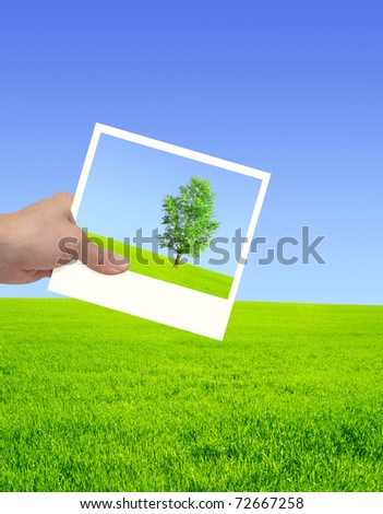 Hand with photo on background of the summer landscape