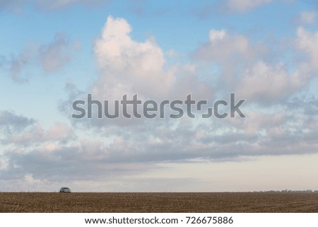 large pink clouds over the yellow field, beautiful light, early morning