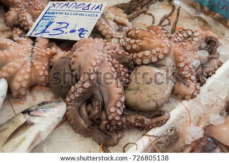 octopuses at a greek market, letters at the price label mean "octopuses caught in the ocean, Mediterranean Sea", "FAO 37 " means Food and Agriculture Organization area 37, i. e. Mediterranean Siea