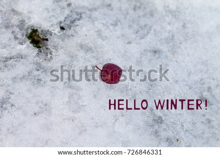  Winter landscape background with typography text "Hello Winter"