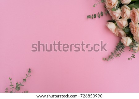 Rose fresh flowers and green leaves on pink table from above with copy space, flat lay frame