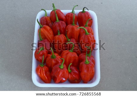 habanero,chili pepper
