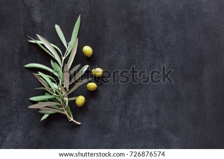 Olive branch on a background Royalty-Free Stock Photo #726876574