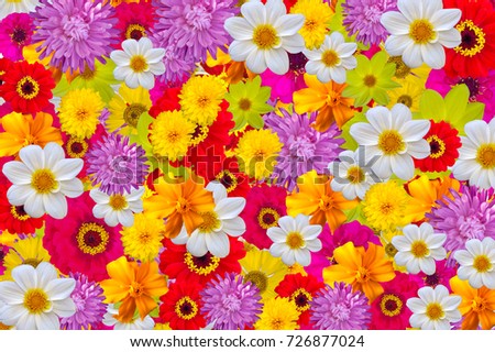 Mix of bright colors, seamless background. Royalty-Free Stock Photo #726877024