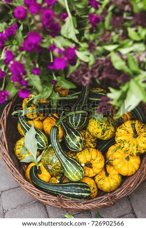  Decorative mini pumpkin in the basket