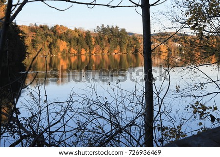 River and fall forest landscape seen through branches